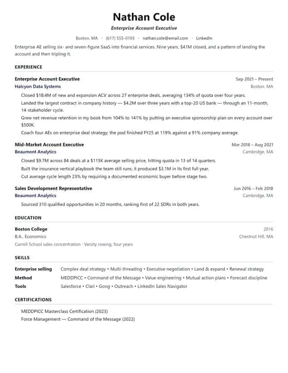 ATS Friendly Account Executive Resume Template